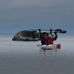 kahekohaline kajakk rev660 Kakksikko kajakki Rev660